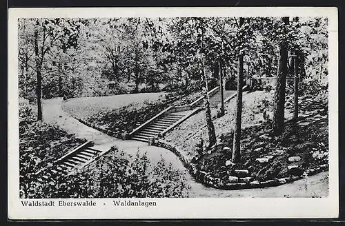 AK Eberswalde, Waldanlagen mit Treppe