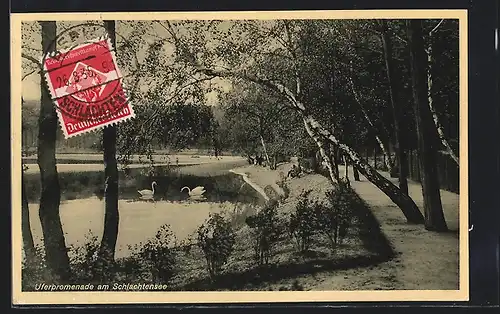AK Berlin-Zehlendorf, Uferpromenade am Schlachtensee