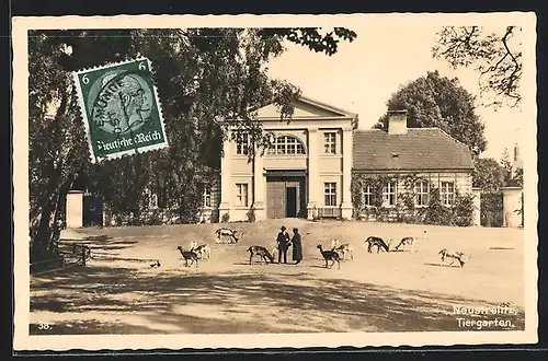 AK Neustrelitz, Tiergarten, Wild-Freigehege mit Gebäude