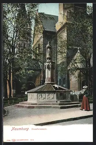 AK Naumburg / Saale, Dombrunnen mit Dom