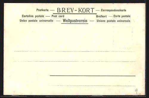 AK Norge, Ortspanorama mit Bergmassiv