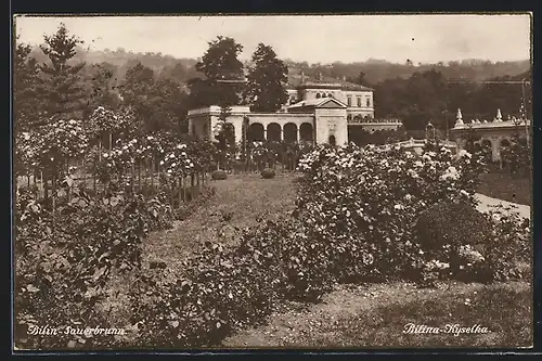 AK Bilin-Sauerbrunn, Blick über den Rosengarten