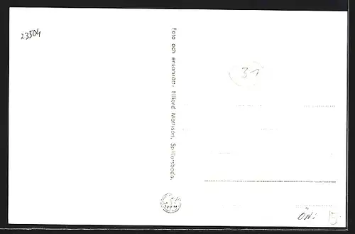 AK Dannemora, Storymningen