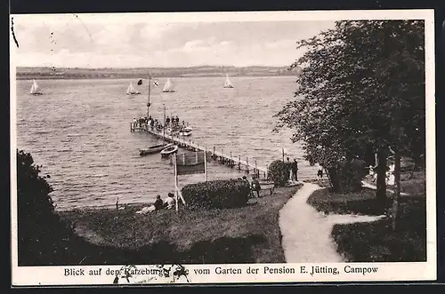AK Campow am Ratzeburger See, Blick auf den Ratzeburger See vom Garten der Pension E.Jütting