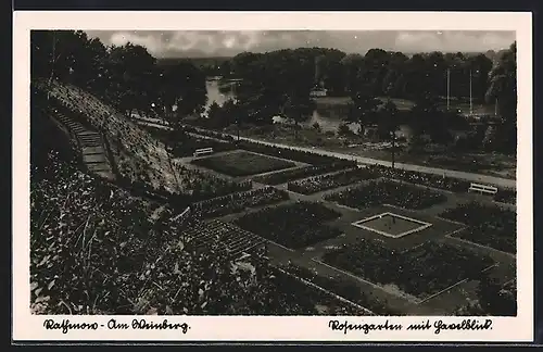 AK Rathenow, Partie am Weingarten, Rosengarten mit Havelblick