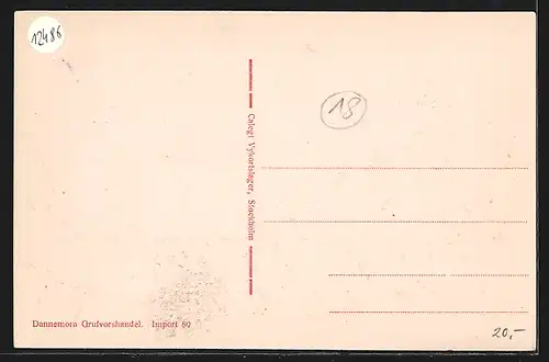 AK Dannemora, Grufver