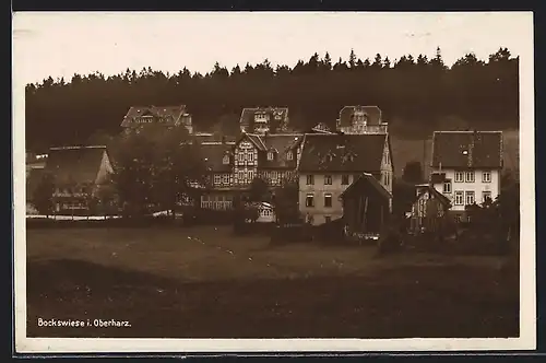 AK Bockswiese i. Oberharz, Ortsansicht über Wiese mit Hotel