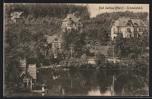 AK Bad Sachsa (Harz), Blick auf Villen am Schmelzteich