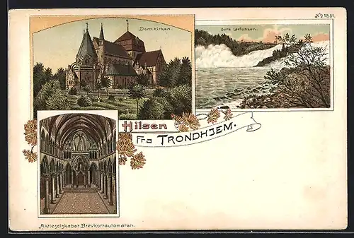 Lithographie Trondheim, Domkirken, Ovre Lerfossen