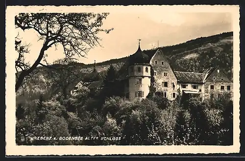 AK Bregenz a / B., Altes Schloss