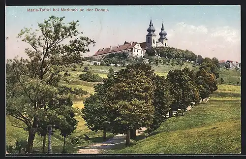 AK Maria Taferl b. Marbach, schattiger Weg zur Basilika