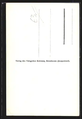AK Wiesen im Burgenland, Ein Ruster, ältester Baum im Burgenland, ca. 900 Jahre alt