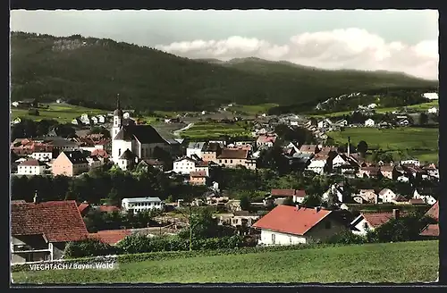 AK Viechtach, Panoramablick