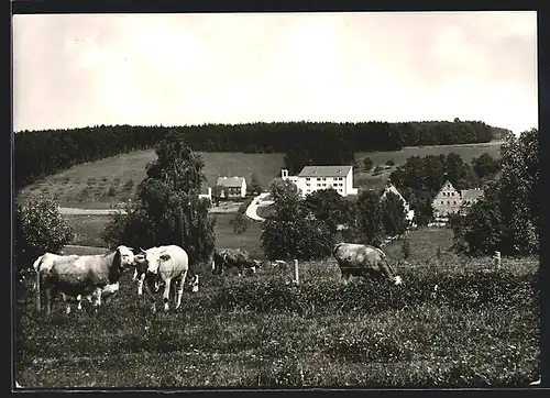 AK Grosshabersdorf, weidende Kühe vor dem Fachkrankenhaus Weihersmühle