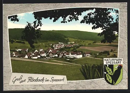 AK Flörsbach im Spessart, Ortsansicht vom Hügel aus