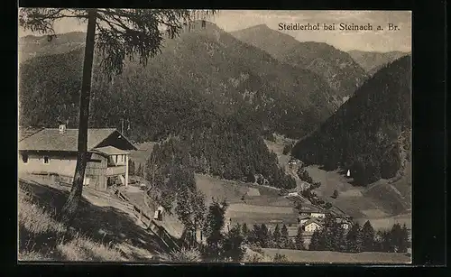 AK Steinach, Ortspartie mit Steidlerhof