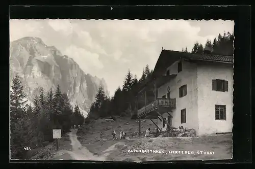 AK Neustift im Stubai, Alpengasthaus Herzeben