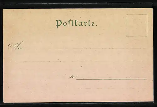 Lithographie Sigmaringen, Gasthof Schützenhaus, Hohenzollern-Burg, Panorama