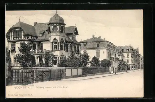 AK Frankfurt-Höchst, Feldbergstrasse mit Villa Daur