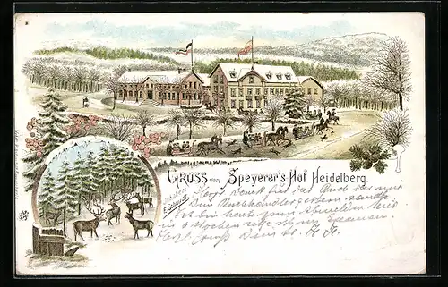 Lithographie Heidelberg / Neckar, Hotel Speyerer`s Hof und Hirsche mit Rehen im Winter