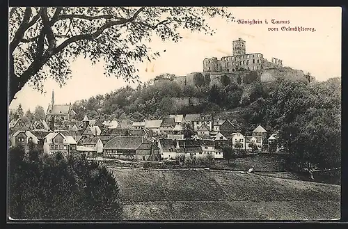 AK Königstein / Taunus, Blick vom Oelmühlsweg mit Schlossruine