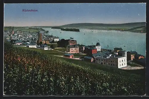 AK Rüdesheim / Rhein, Teilansicht