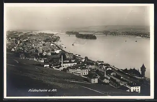AK Rüdesheim a. Rh., Teilansicht mit Brücke