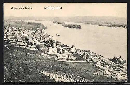 AK Rüdesheim /Rhein, Teilansicht