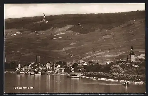 AK Rüdesheim a. Rh., Teilansicht mit Nationaldenkmal