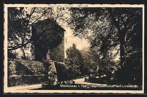 AK Mühlhausen i. Thür., Alte Stadtmauer am Lindenbühl