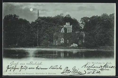 Mondschein-AK Biebrich / Rhein, Die Moosburg im Park