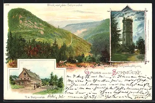 Lithographie Gehlberg, Gasthaus Schmücke, Schneekopfturm, Panorama