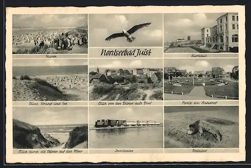 AK Nordseebad Juist, Kurhaus, Partie am Bahnhof, Seehund, Inselbahn, Düne, Strand und See