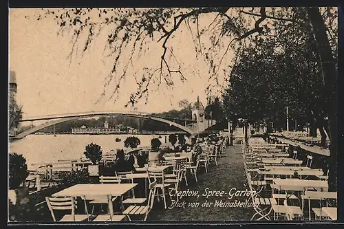 AK Berlin-Treptow, Restaurant Spree-Garten, Blick von der Weinabteilung