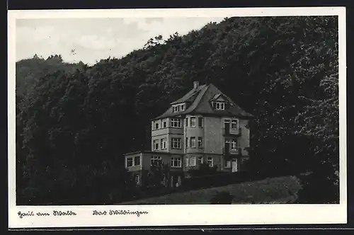 AK Bad Wildungen, Gaststätte Haus am Walde M. Weber