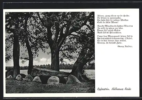 AK Engelmannsbäke, Opferstein, Ahlhorner Heide, Ausgrabung