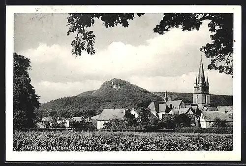 AK Bad Driburg, Ortsansicht mit Blick zur Iburg