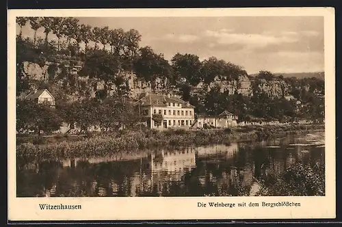 AK Witzenhausen, Die Weinberge mit dem Bergschlösschen