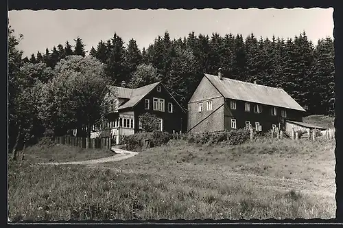 AK St. Andreasberg /Oberharz, Gebäude mit Wald