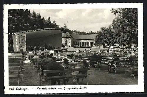 AK Bad Wildungen, Konzertpavillon mit Georg-Viktor-Quelle