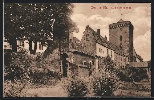 AK Zons a. Rh., Alte Stadtmauer mit Sträuchern
