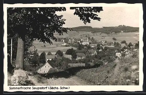 AK Saupsdorf /Sächs. Schweiz, Totalansicht mit Feldweg