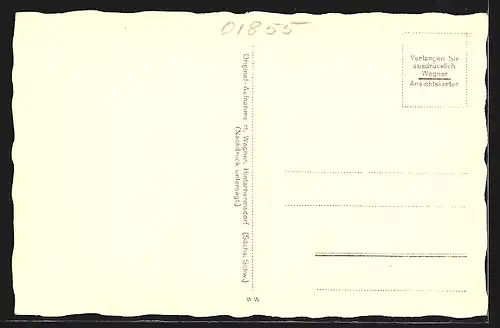 AK Saupsdorf /Sächs. Schweiz, Totalansicht mit Feldweg