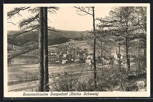 AK Saupsdorf /Sächs. Schweiz, Ortsansicht hinter Bäumen