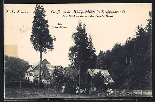 AK Krippen, Blick zum Gasthaus Röllig-Mühle