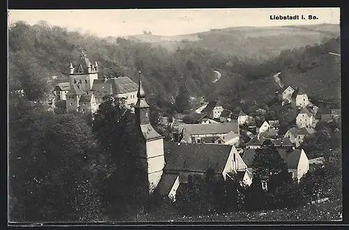 AK Liebstadt i. Sa., Teilansicht mit Wald