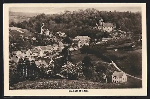 AK Liebstadt /Sa., Ortsansicht von oben