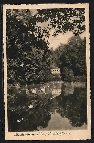 AK Sondershausen (Thür.), Uferpartie im Schlosspark