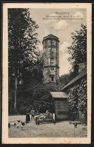 AK Bungsberg, Partie am Elisabethturm mit einer Menschengruppe und Hühnern