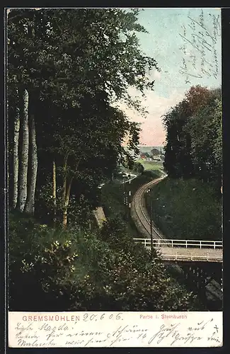 AK Gremsmühlen, Partie im Steinbusch